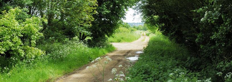 HAYLANE