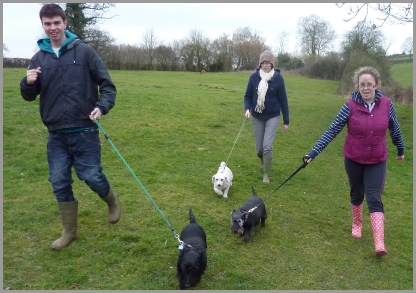 dogwalkvolunteering